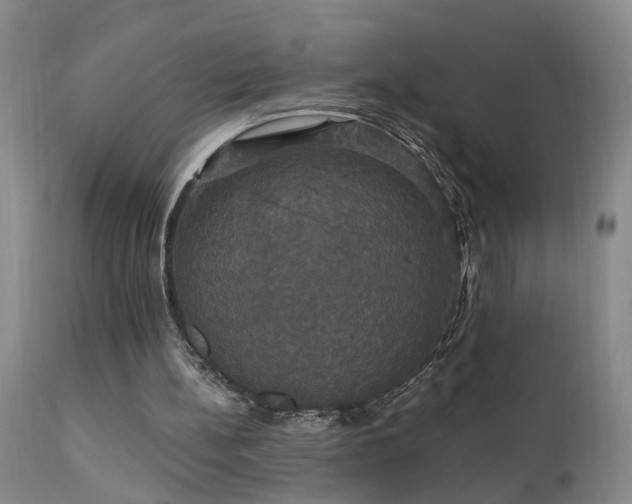 X0000111910148200907271230