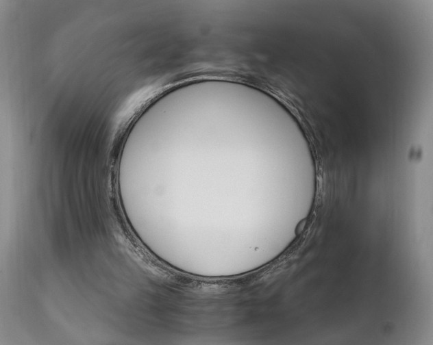 X0000111910149200907271230
