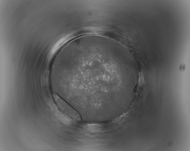 X0000111910150200907271230