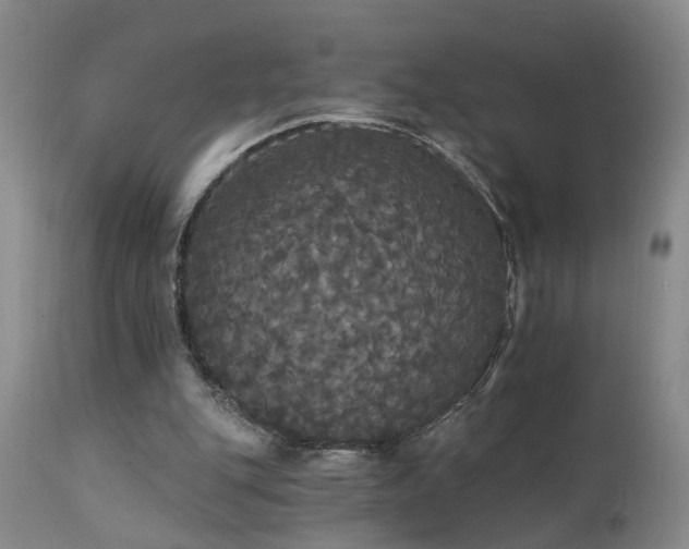 X0000111910151200907271230