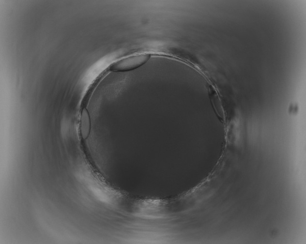 X0000111910152200907271230