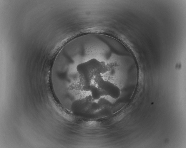 X0000111910153200907271230