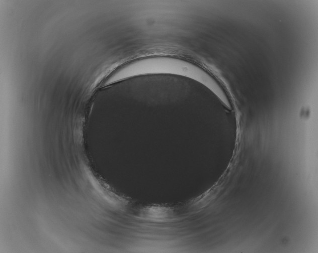 X0000111910154200907271230