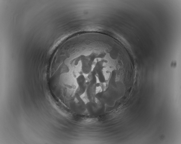 X0000111910155200907271230