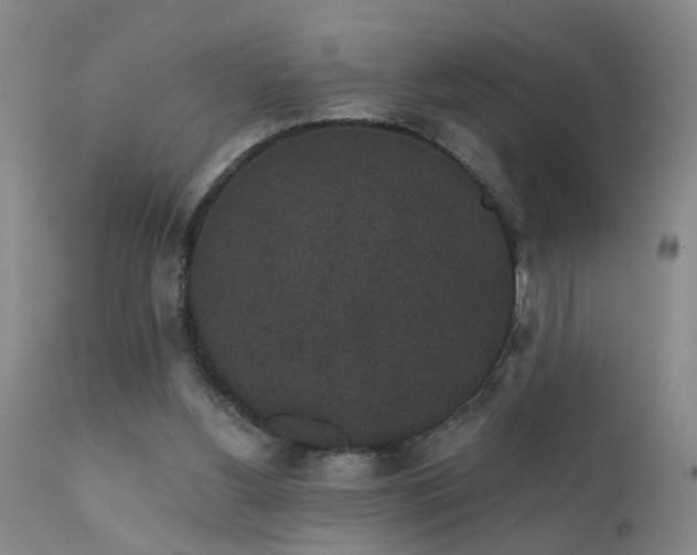 X0000111910156200907271230