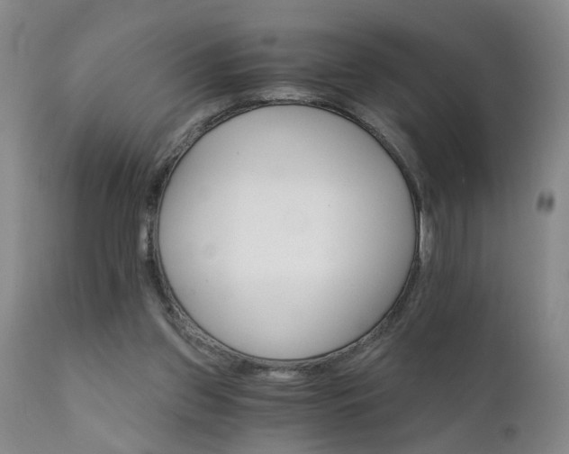 X0000111910157200907271230