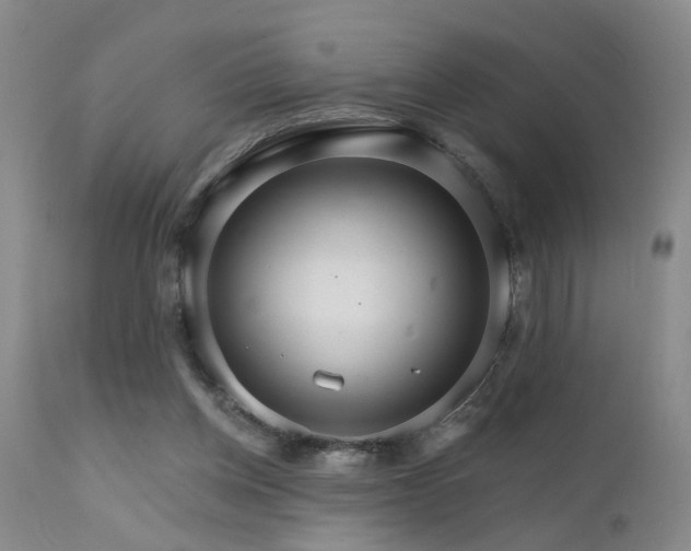X0000111910158200907271230
