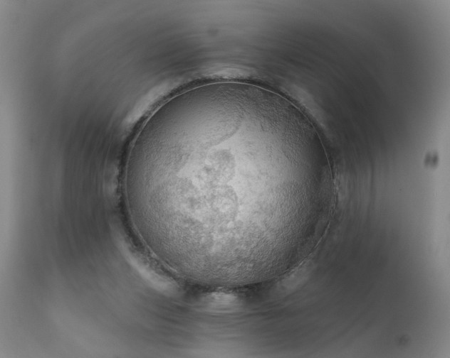 X0000111910159200907271230