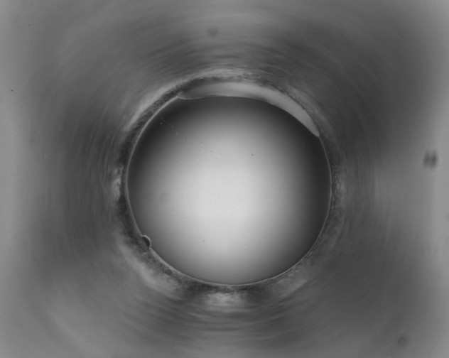 X0000111910160200907271230