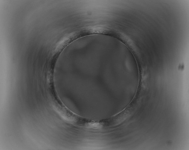 X0000111910161200907271230