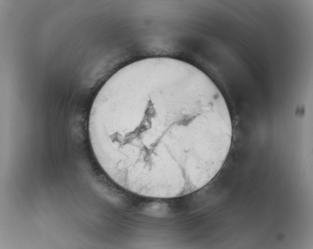 X0000111910162200907271230
