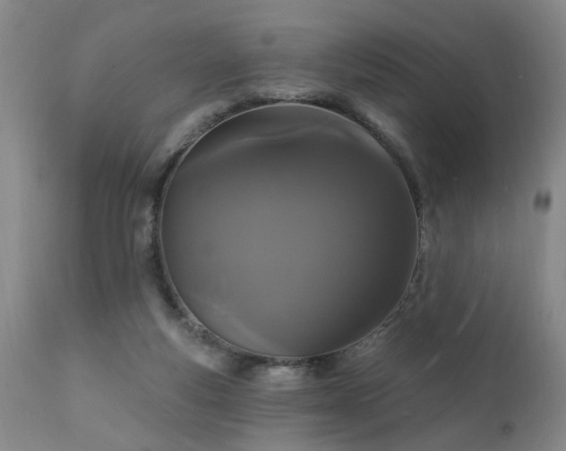X0000111910163200907271230