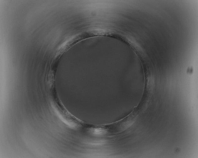 X0000111910165200907271230