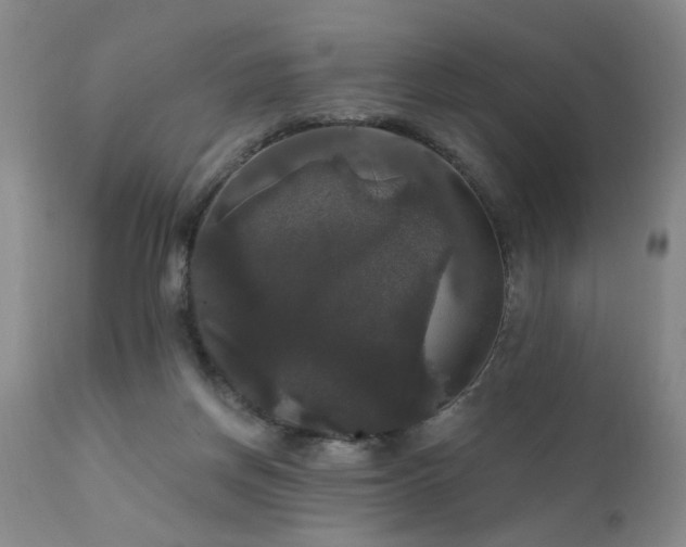 X0000111910166200907271230