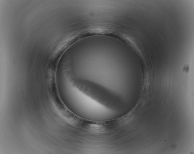 X0000111910167200907271230