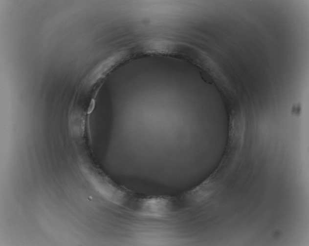X0000111910168200907271230