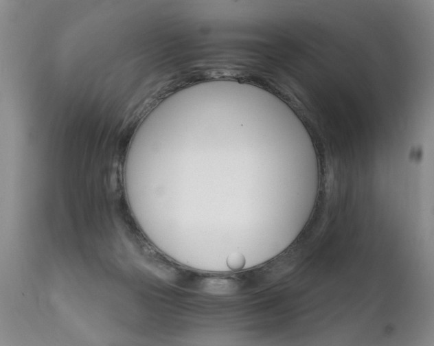 X0000111910169200907271230