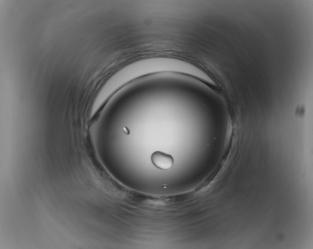 X0000111910170200907271230