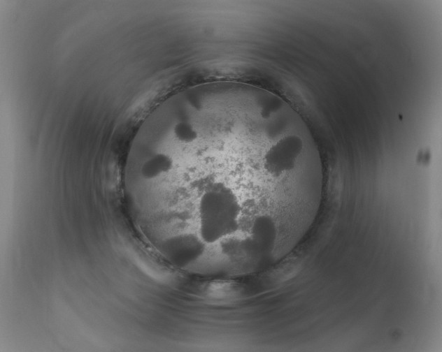X0000111910173200907271230