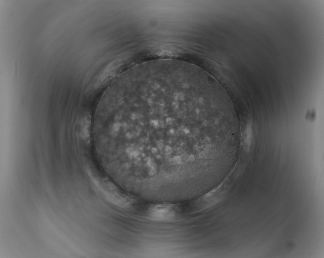 X0000111910175200907271230