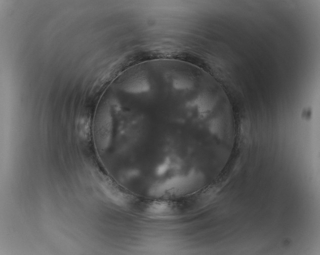 X0000111910177200907271230