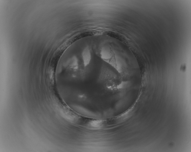 X0000111910178200907271230