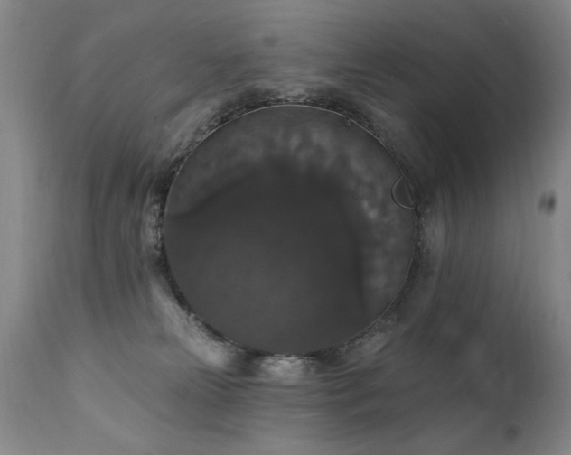 X0000111910181200907271230