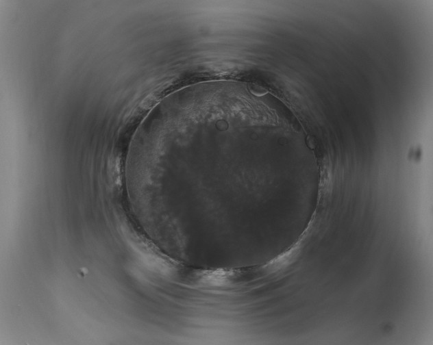 X0000111910182200907271230