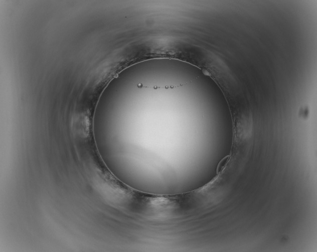 X0000111910183200907271230