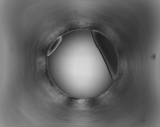 X0000111910184200907271230