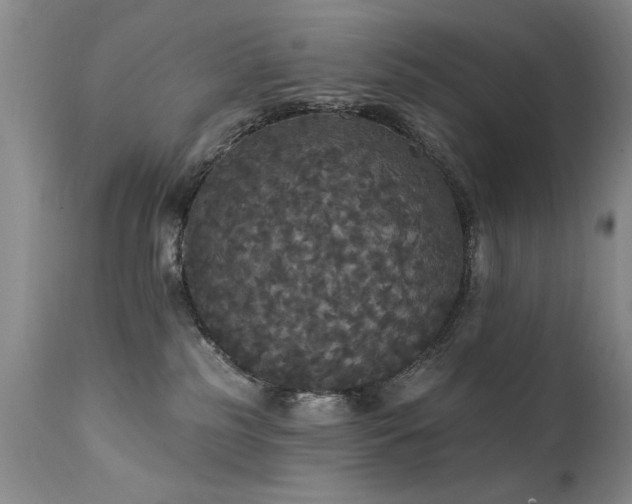 X0000111910185200907271230