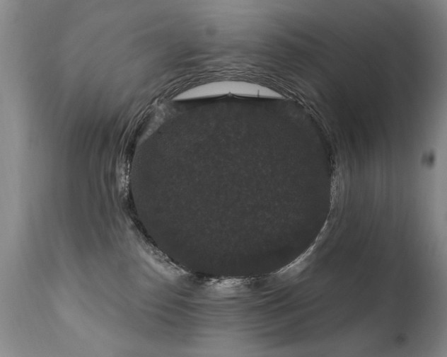 X0000111910186200907271230