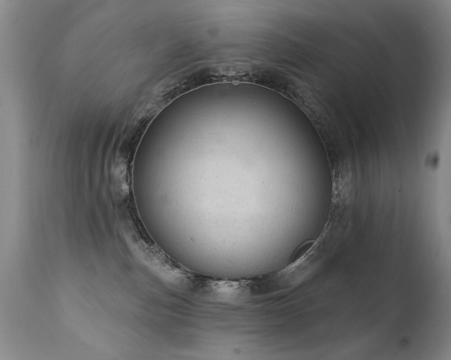 X0000111910187200907271230