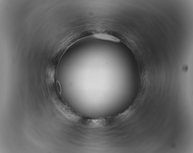 X0000111910188200907271230