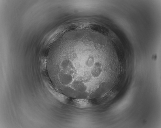 X0000111910191200907271230