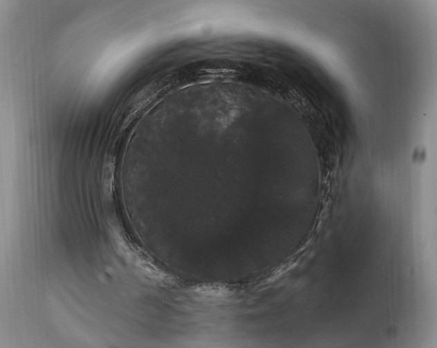 X0000111910194200907271230