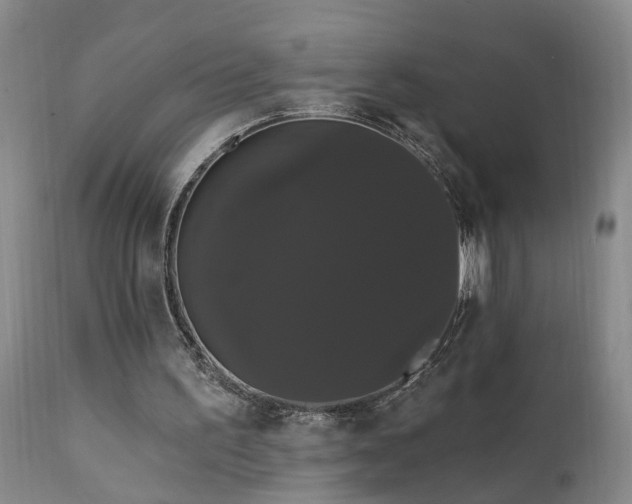 X0000111910195200907271230