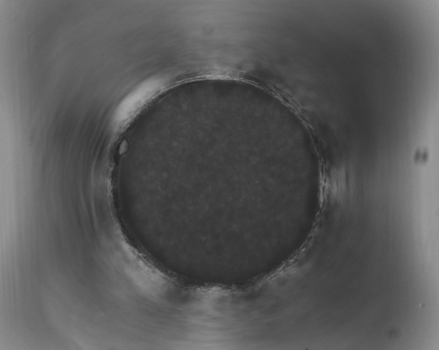 X0000111910197200907271230