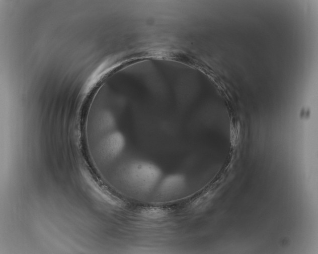 X0000111910198200907271230