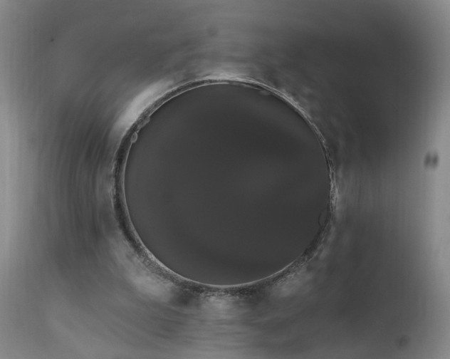 X0000111910199200907271230