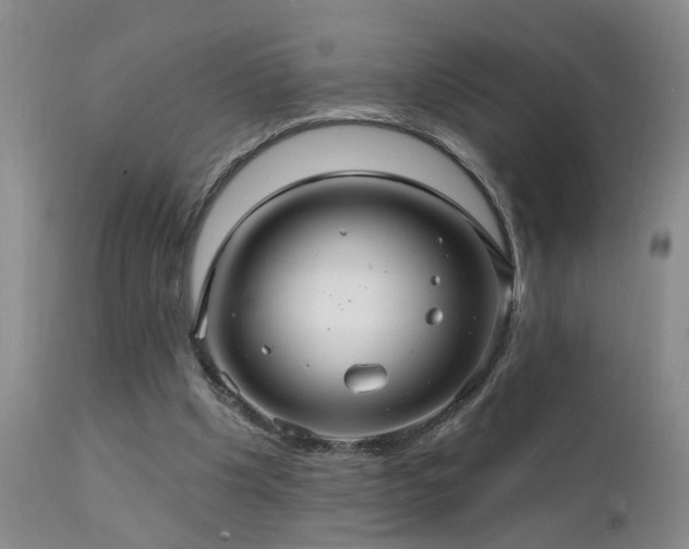X0000111910201200907271229