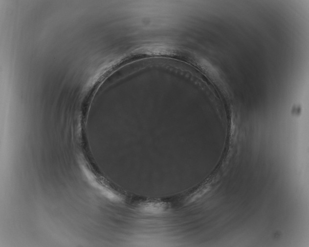 X0000111910202200907271229