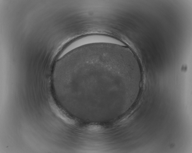 X0000111910203200907271229
