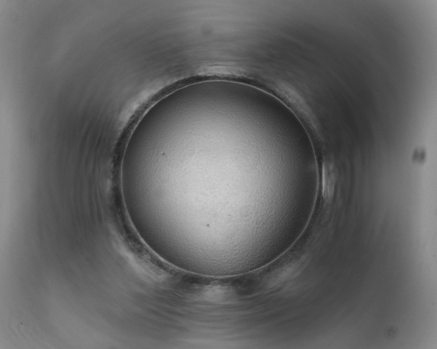X0000111910204200907271229