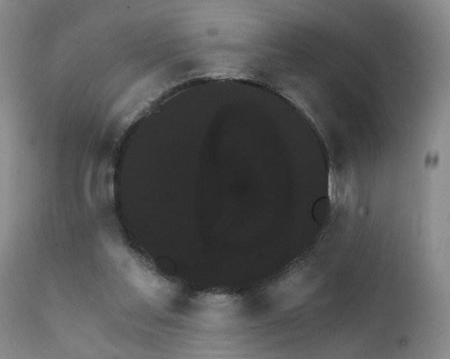 X0000111910205200907271229