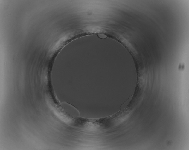 X0000111910207200907271229