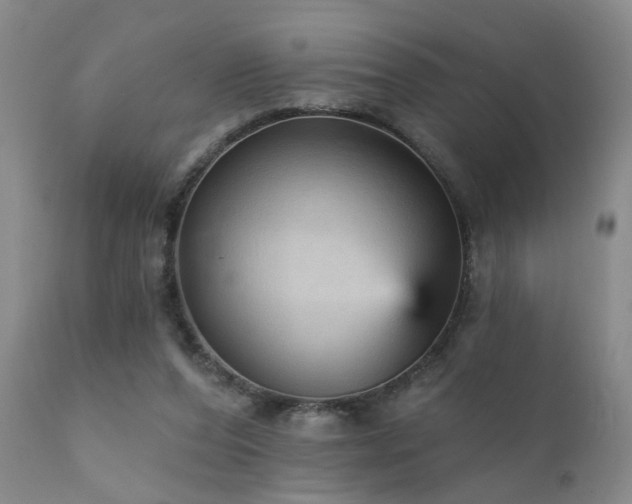 X0000111910208200907271229
