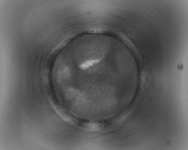 X0000111910209200907271229
