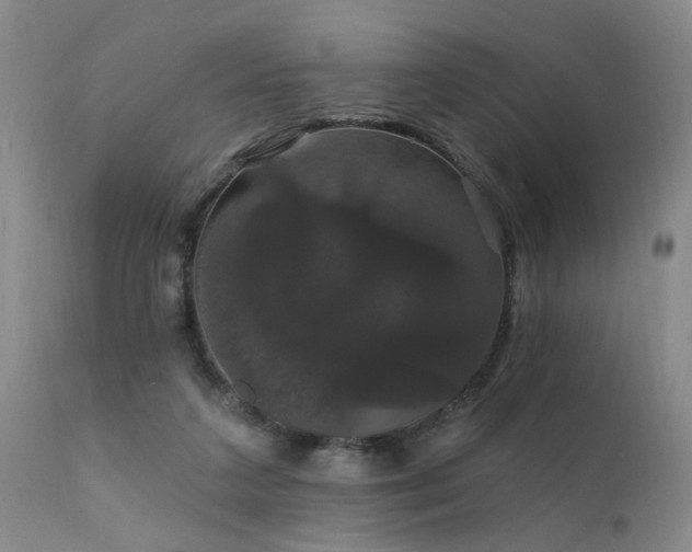 X0000111910211200907271229