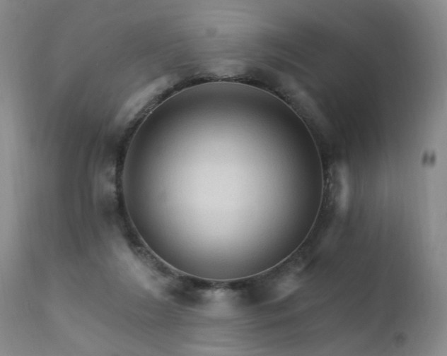 X0000111910212200907271229